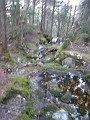 Mt Cardigan NH 2010 0325